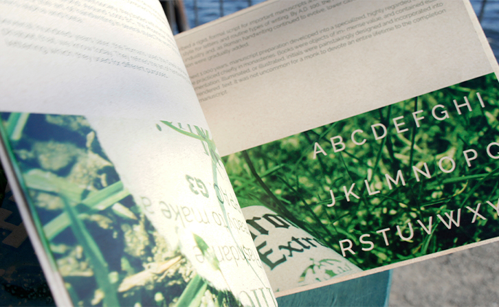 typography-book